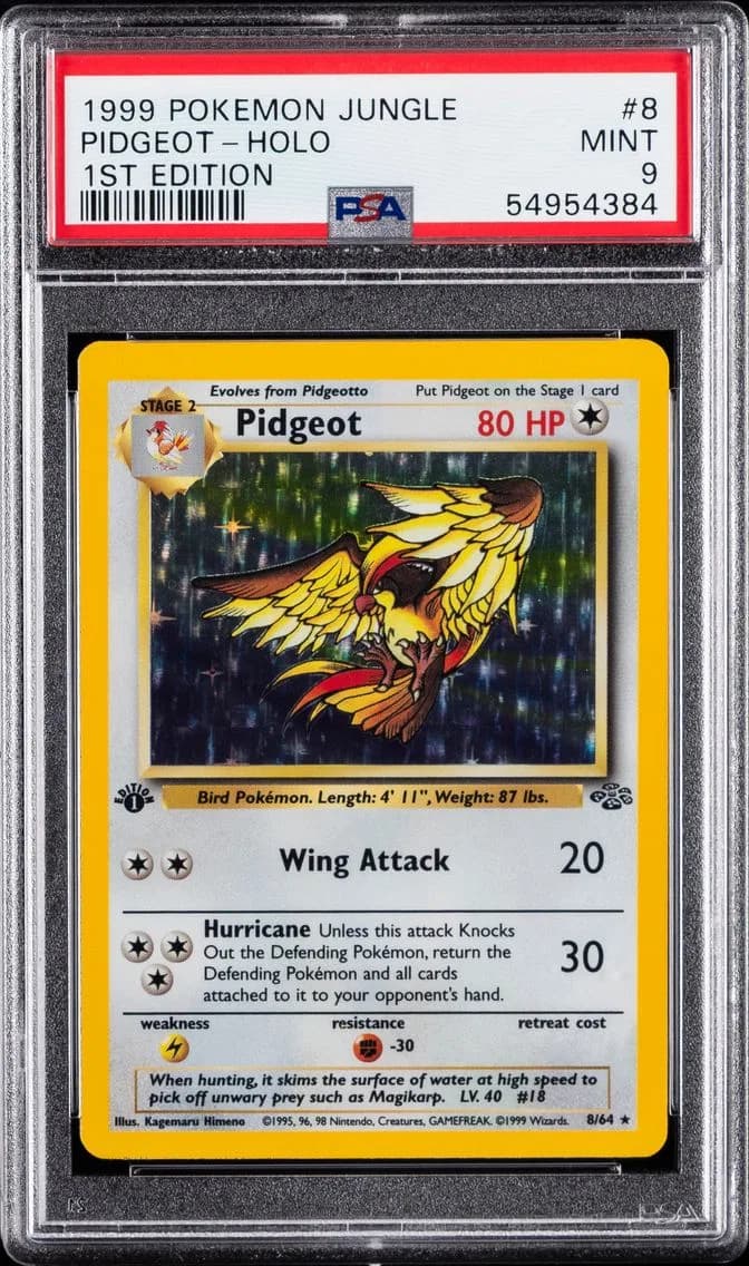 Pidgeot slab