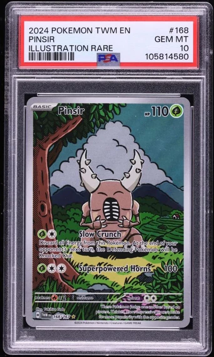Pinsir slab
