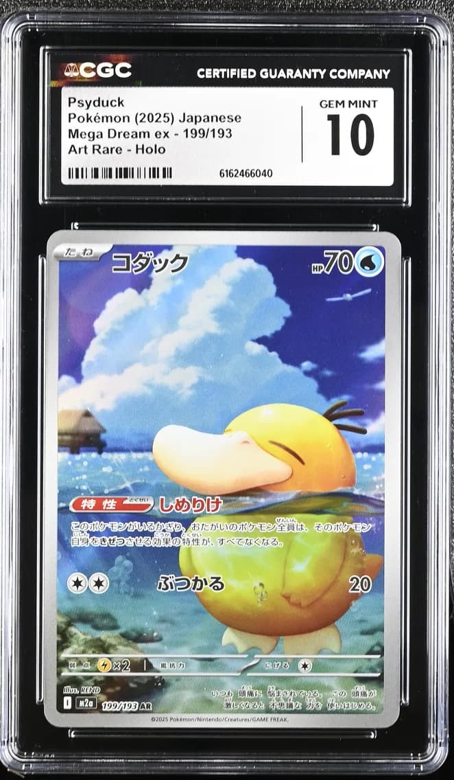 Psyduck slab