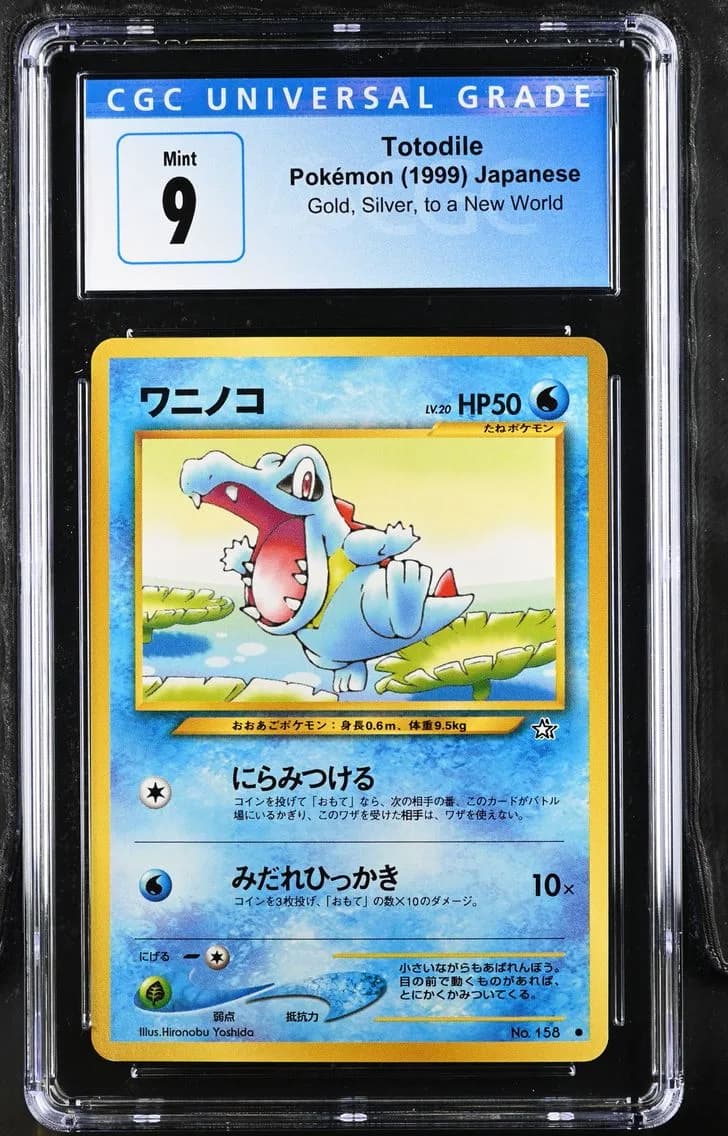 Totodile slab