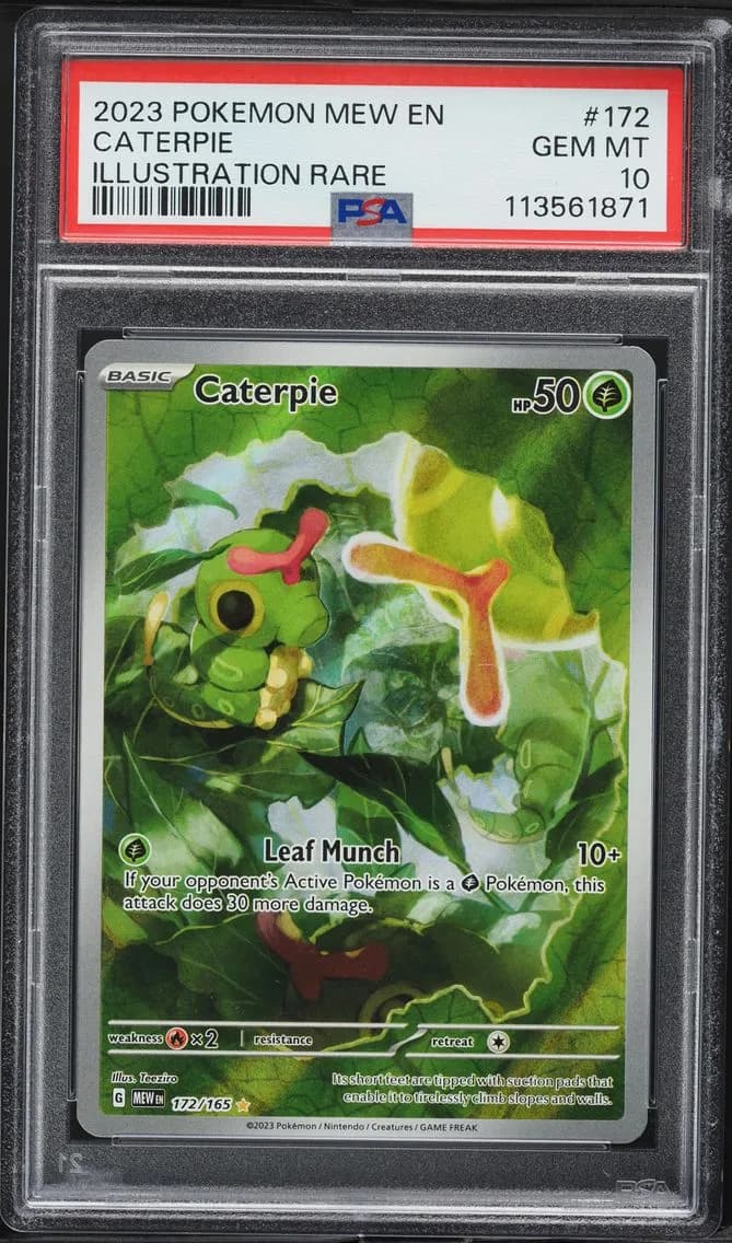 Caterpie slab