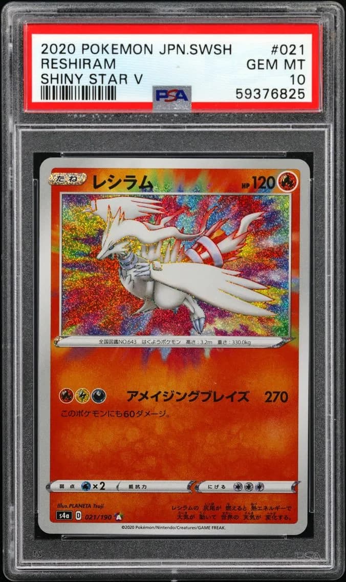 Reshiram slab