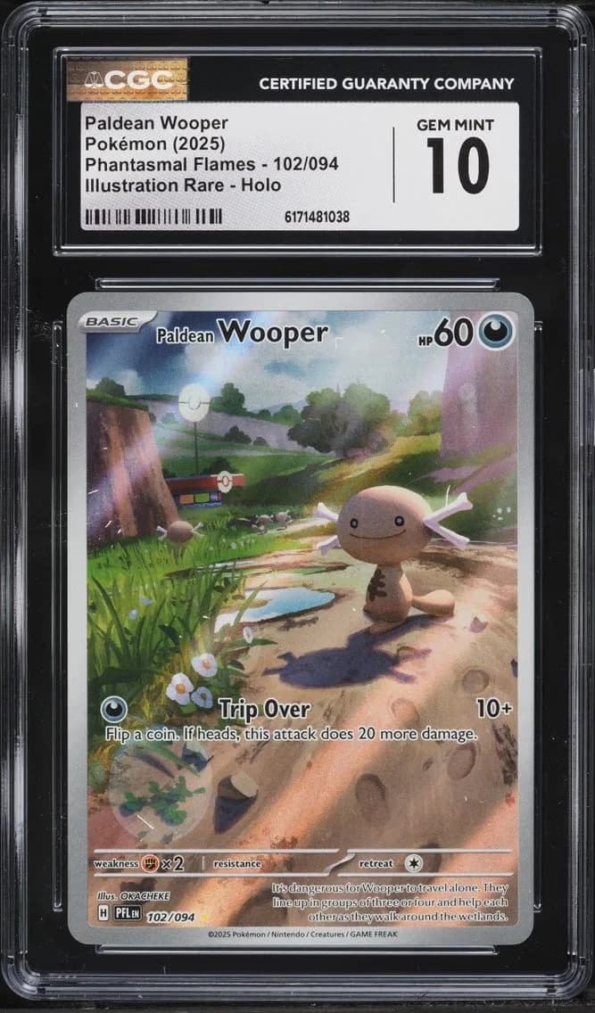 Paldean Wooper slab