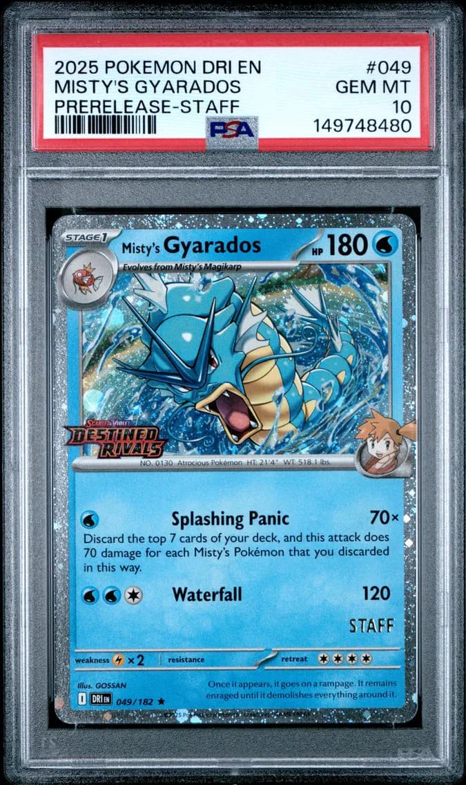 2025 #049 Misty's Gyarados PSA 10 Dri EN-Destined Rivals