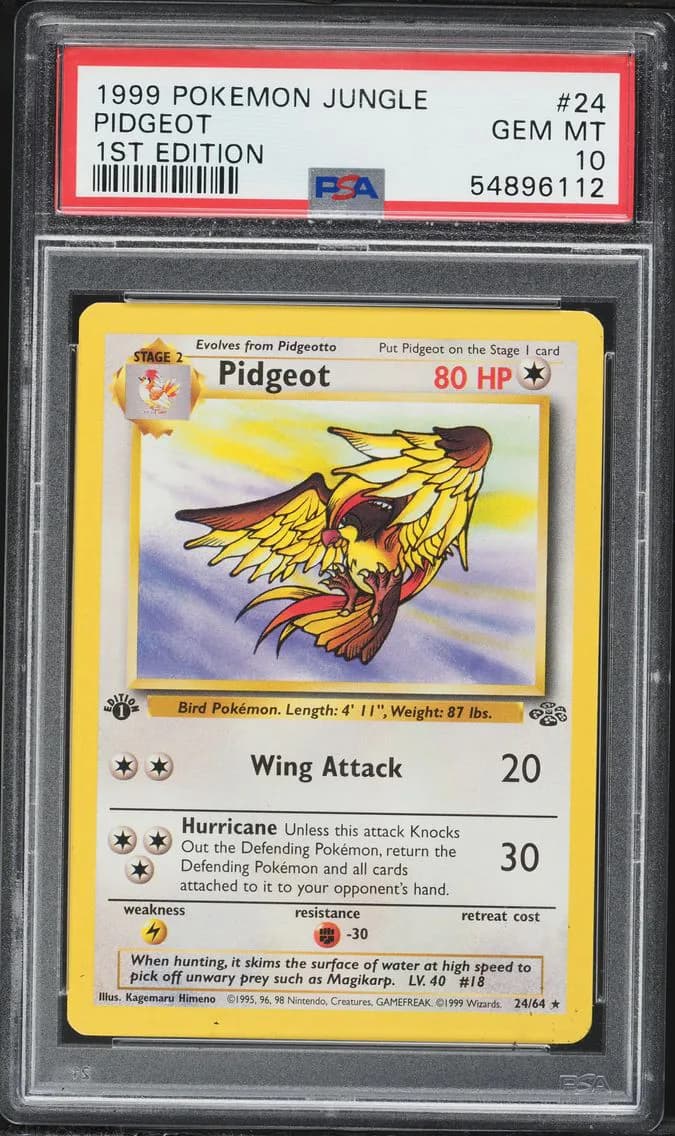 Pidgeot slab