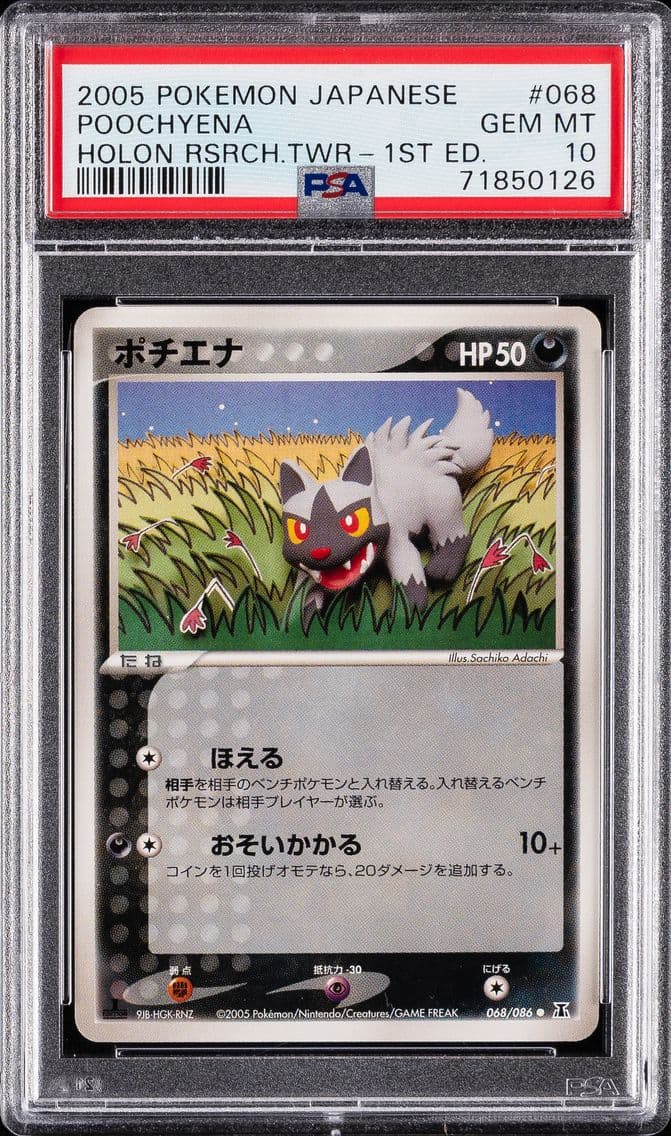 Poochyena slab