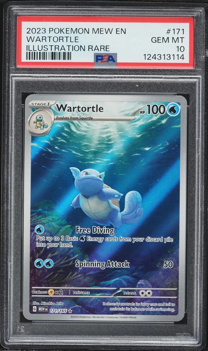 Wartortle slab