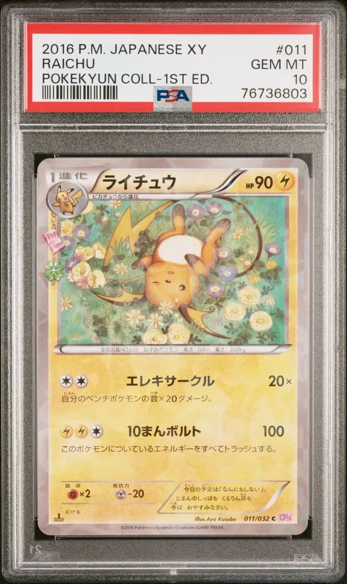 Raichu slab