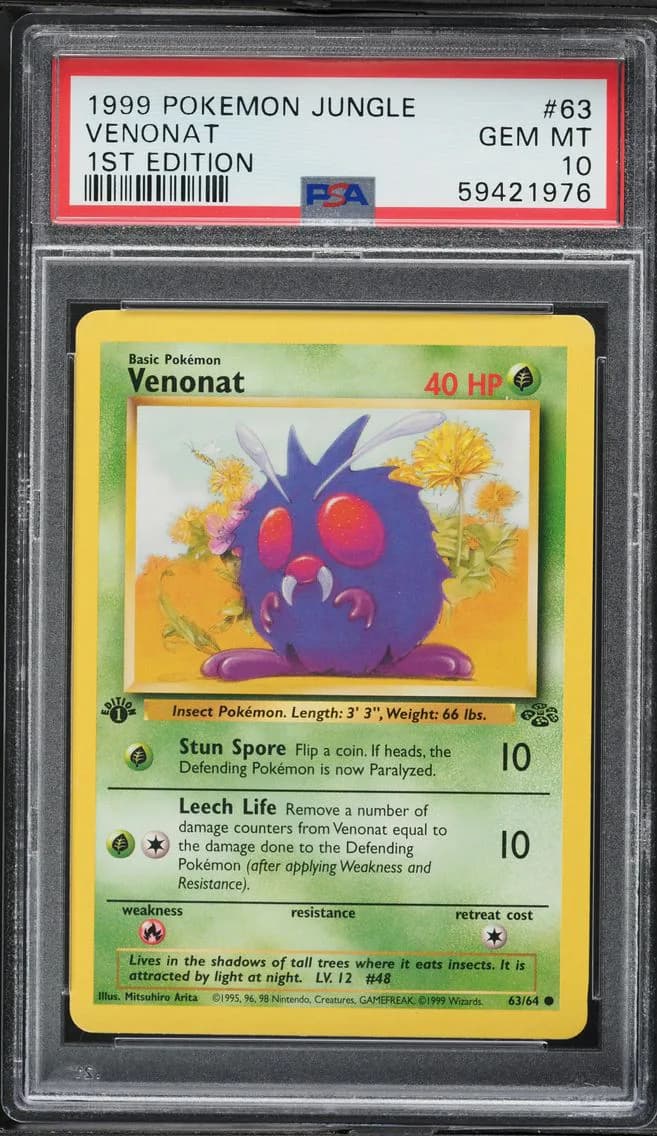 Venonat slab