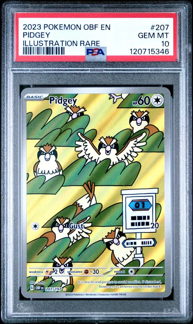 Pidgey slab