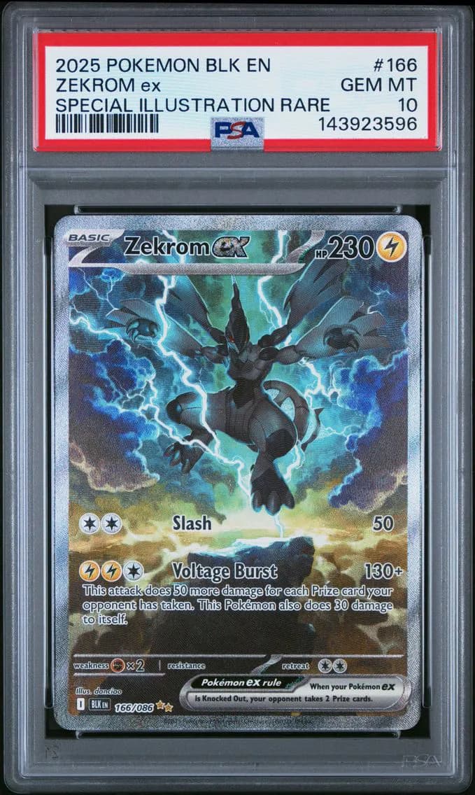 Zekrom ex slab