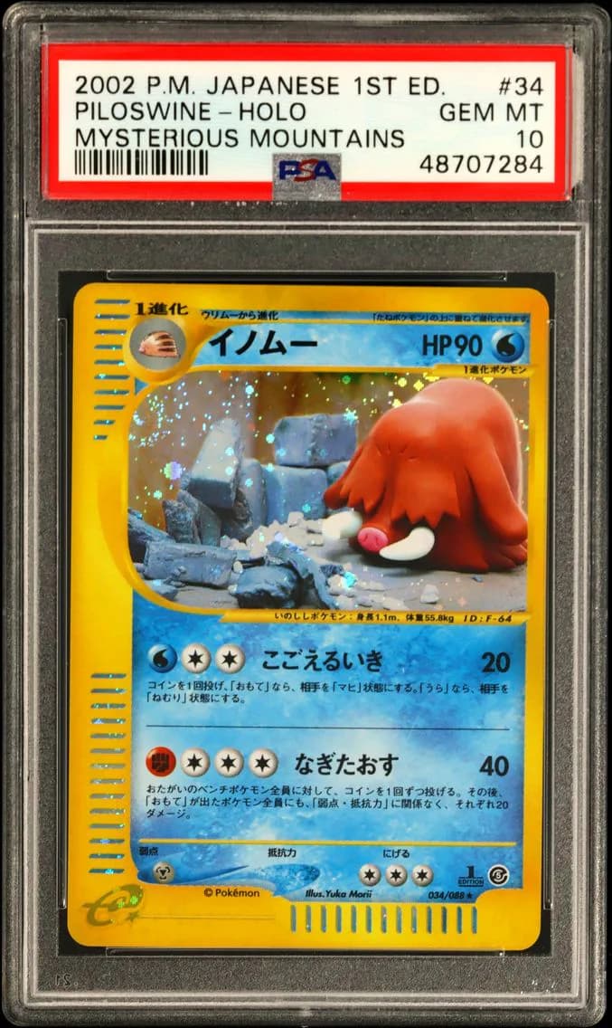 Piloswine slab
