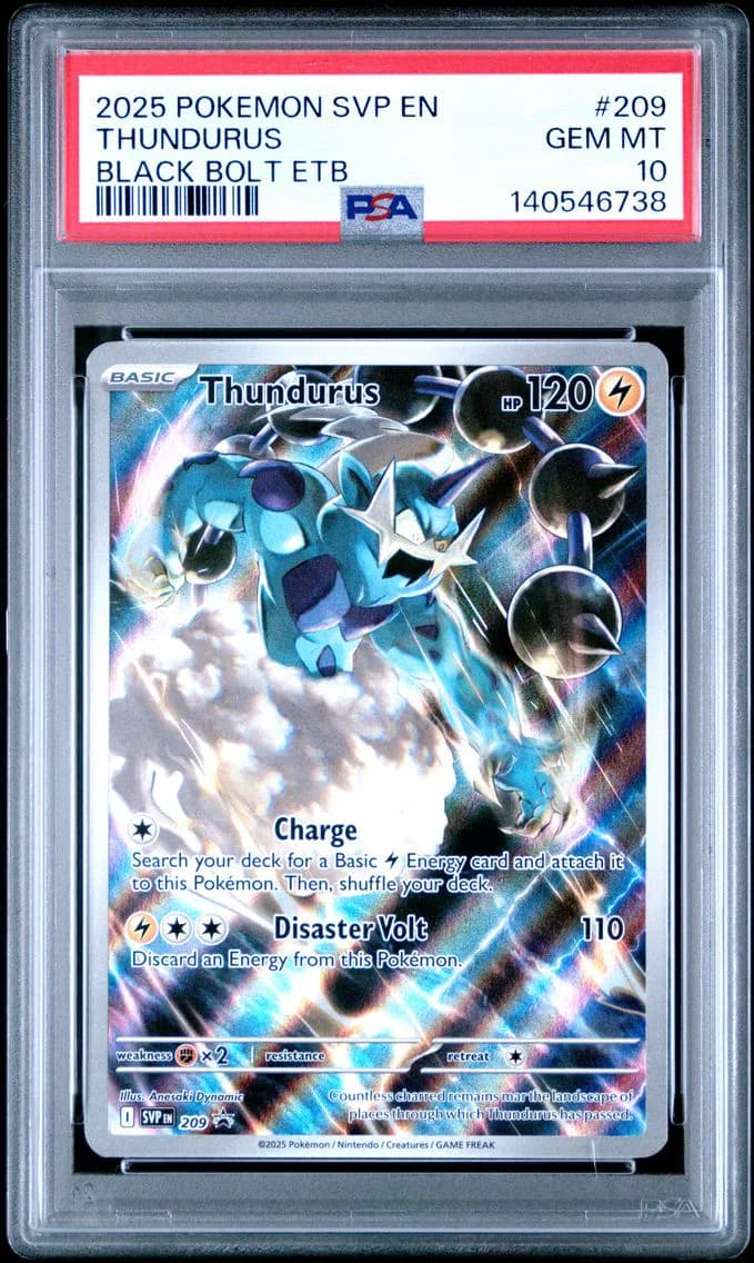 Thundurus slab