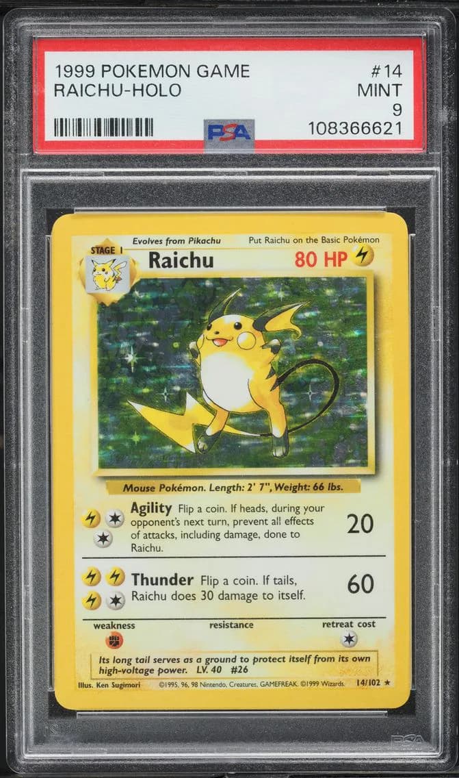 Raichu slab