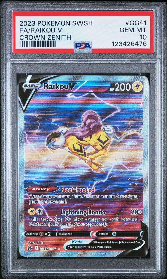 Raikou V slab