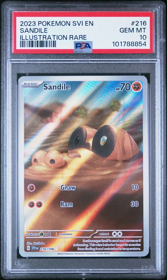 2023 #216 SANDILE PSA 10 POKEMON SVI EN-SCARLET & VIOLET | ILLUSTRATION RARE