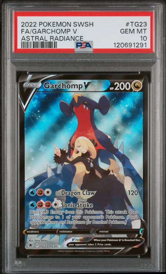 Garchomp V slab