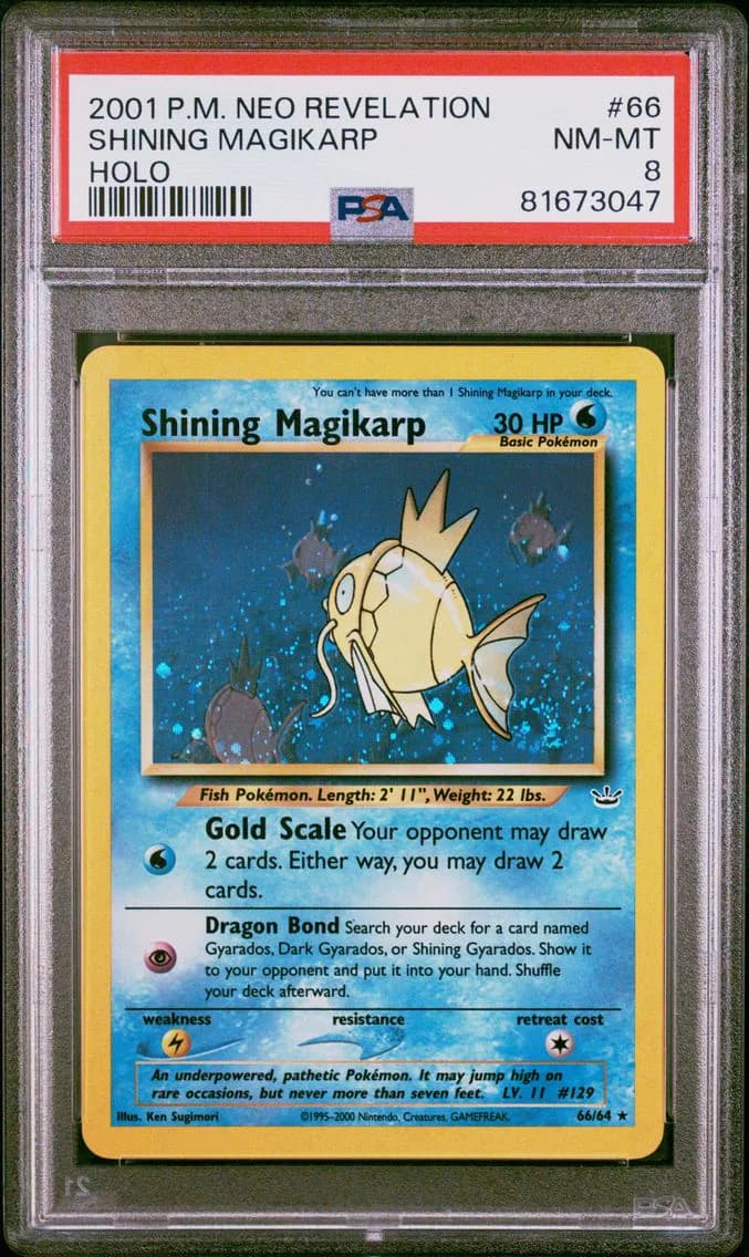 2001 #66 Shining Magikarp-Holo PSA 8 Neo Revelation