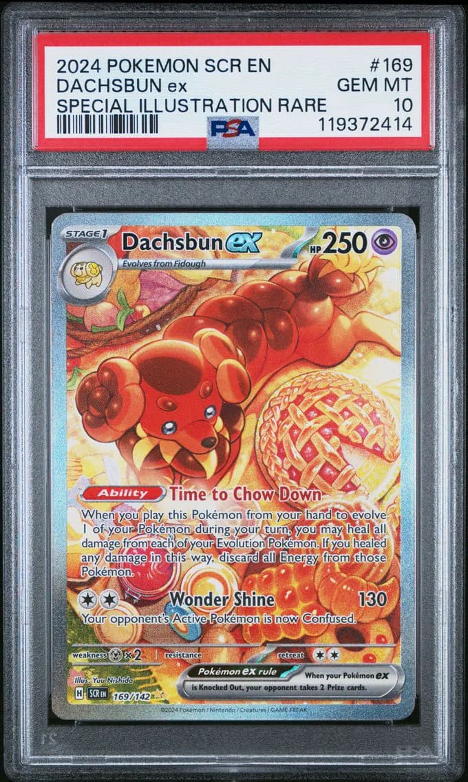 Dachsbun ex slab