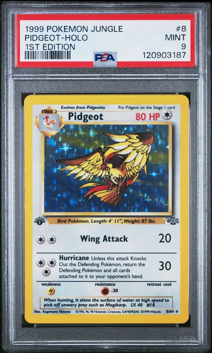 Pidgeot slab