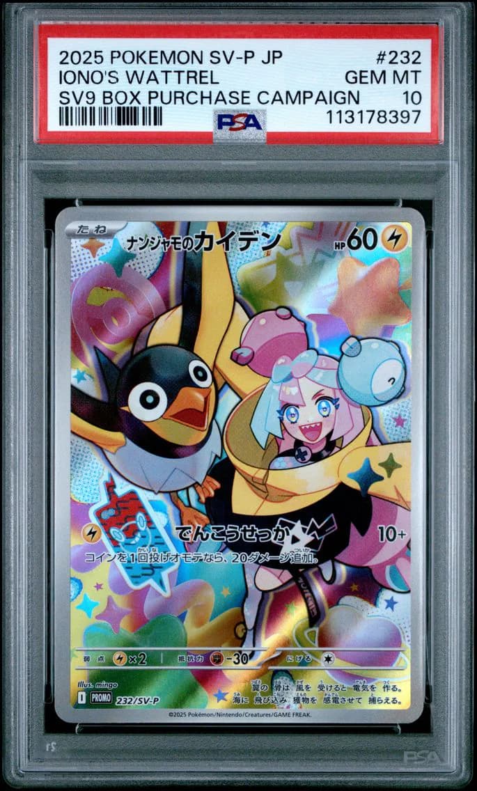 Iono's Wattrel slab