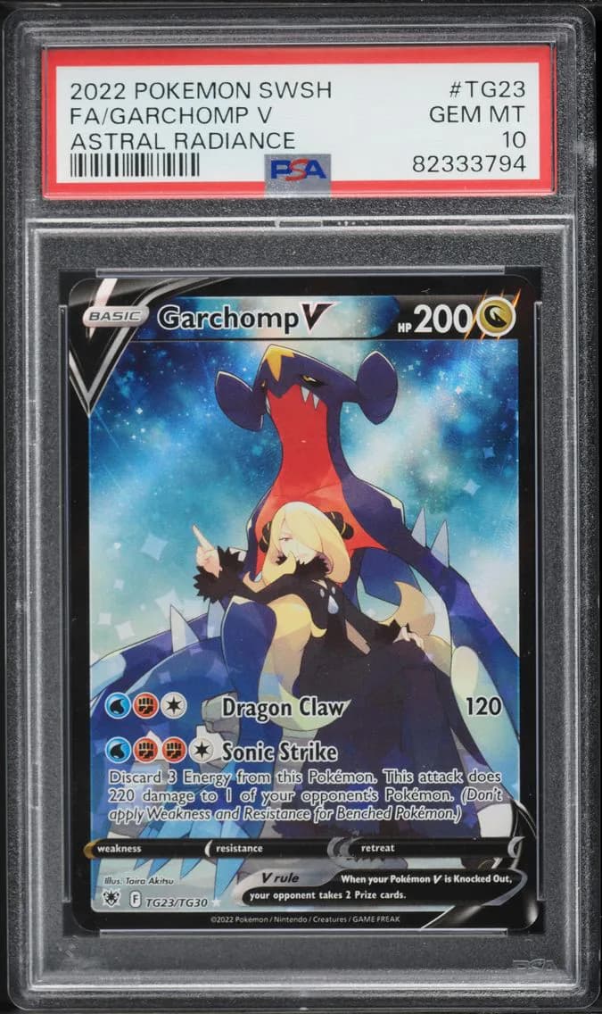 Garchomp V slab