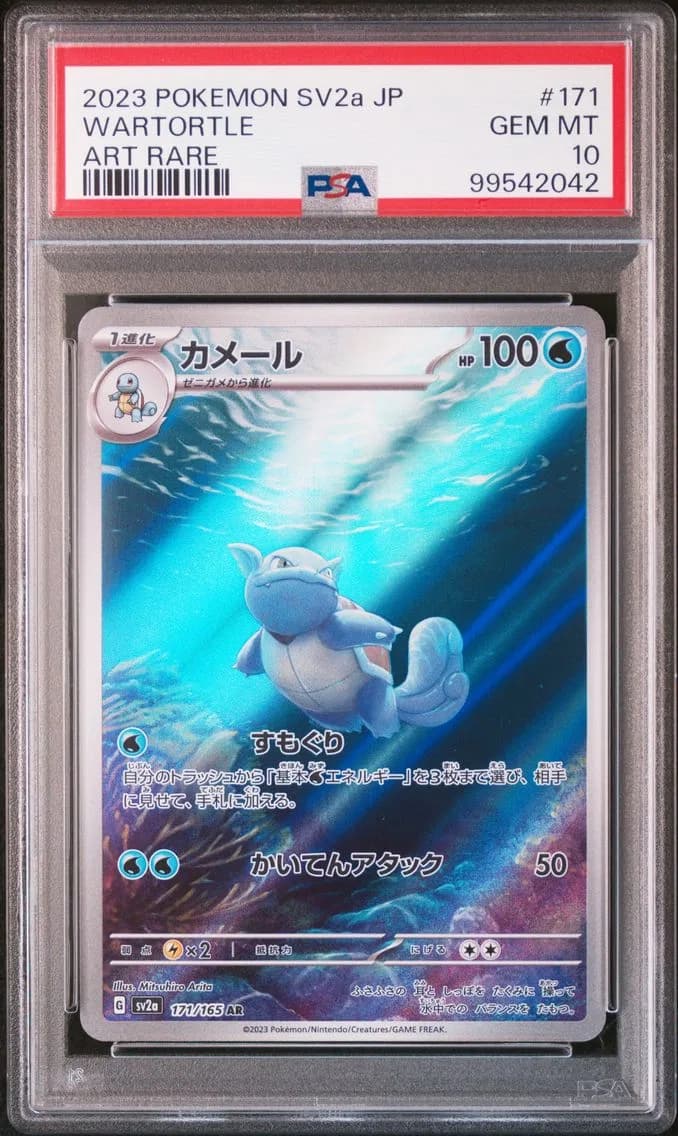 Wartortle slab