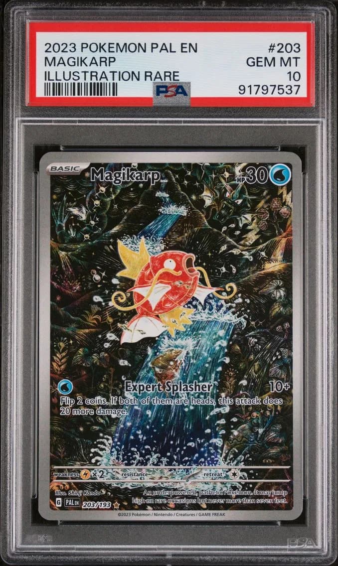 2023 #203 Magikarp PSA 10 Pal EN-Paldea Evolved Pokemon