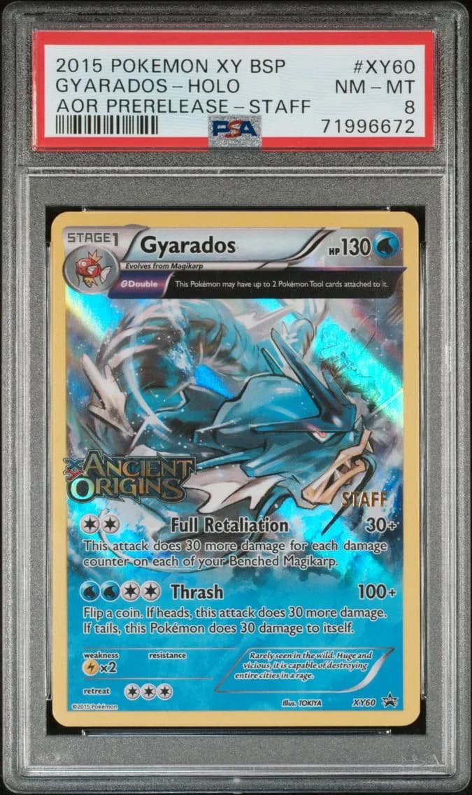 2015 #XY60 Gyarados-Holo PSA 8 XY Black Star Promos Pokemon