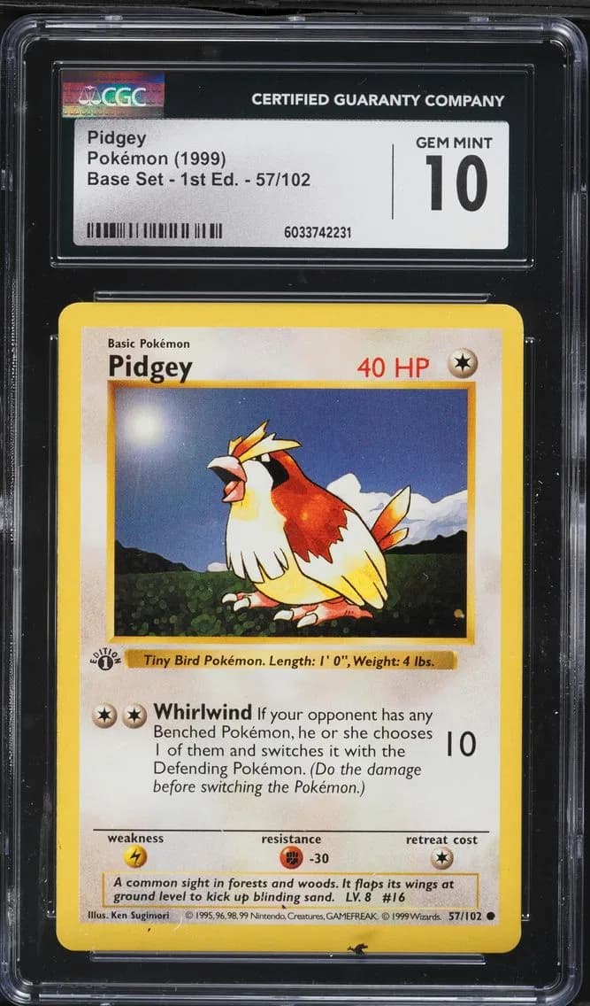 Pidgey slab