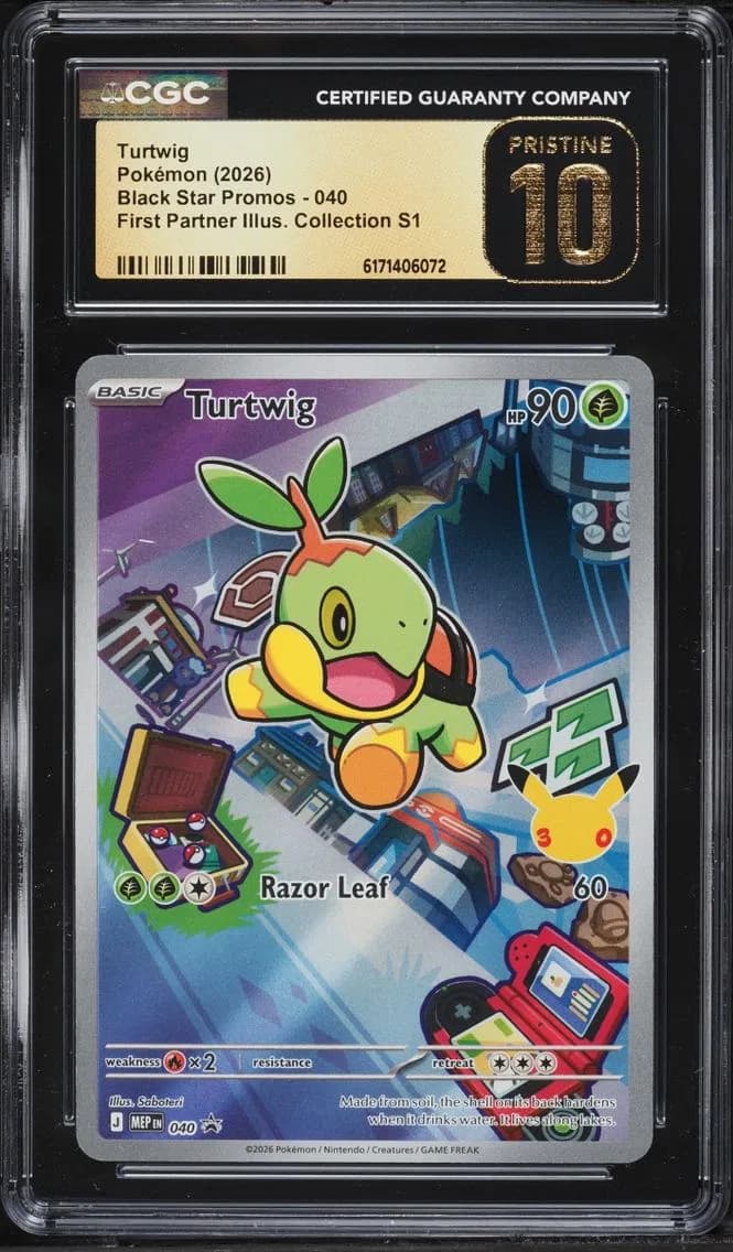 Turtwig slab
