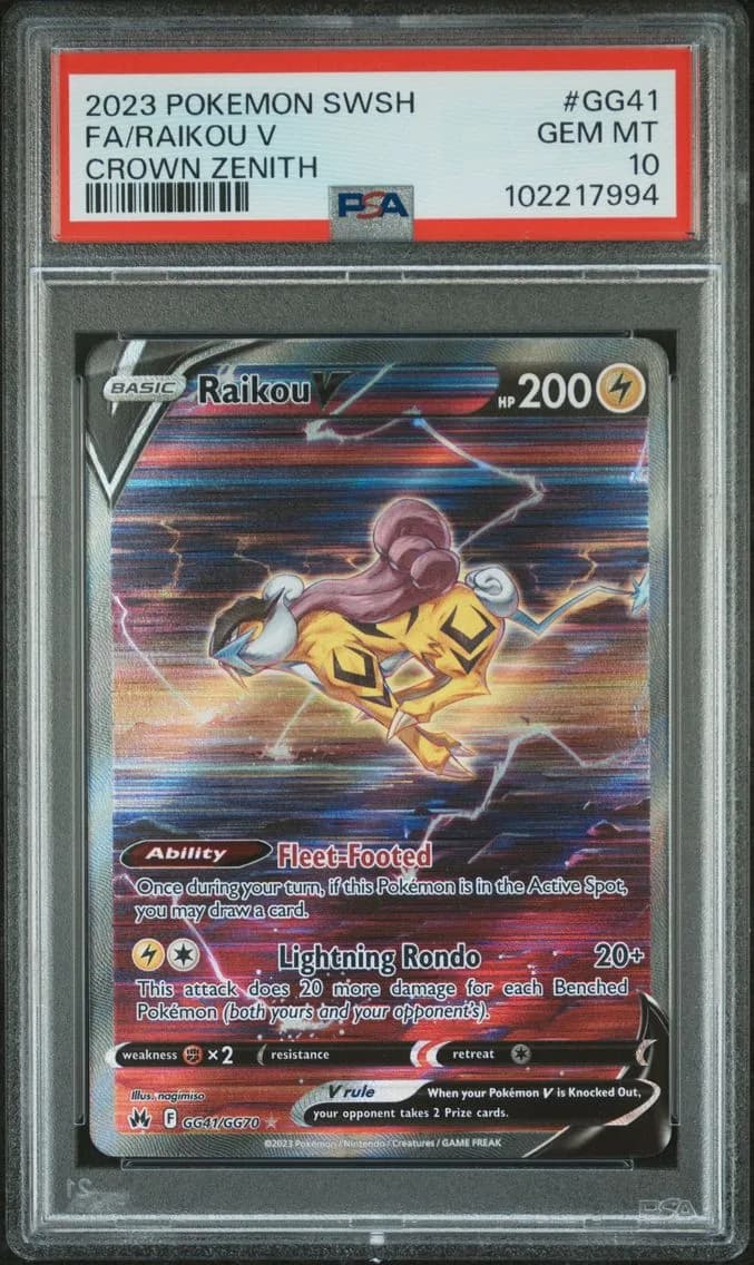 Raikou V slab