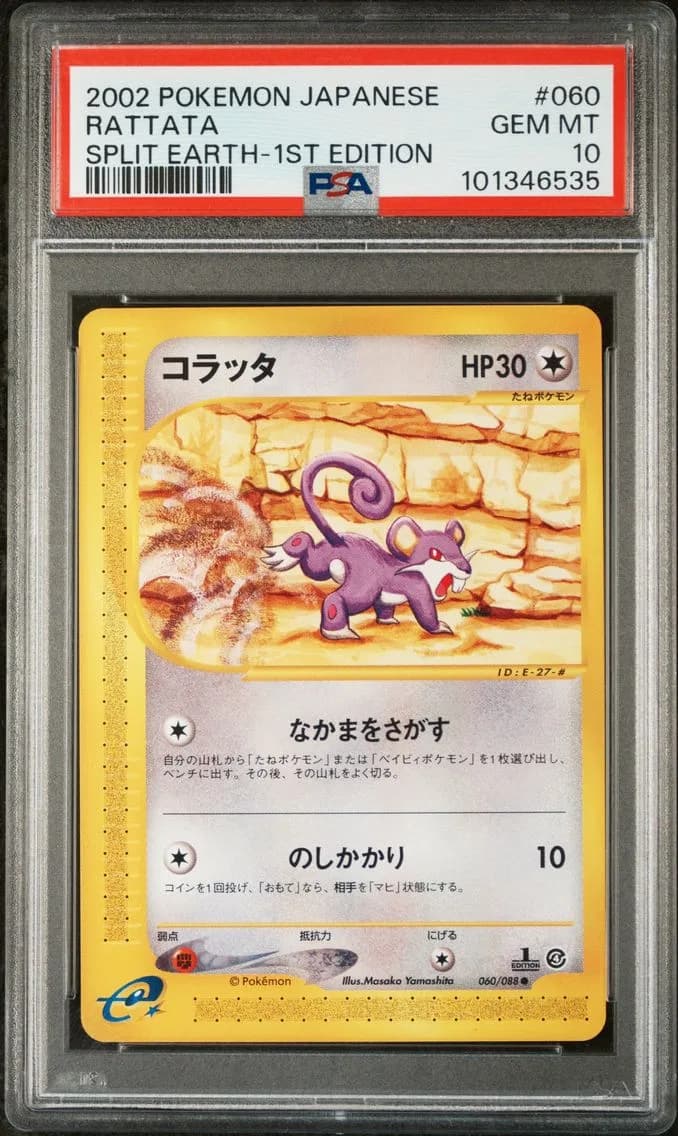 Rattata slab