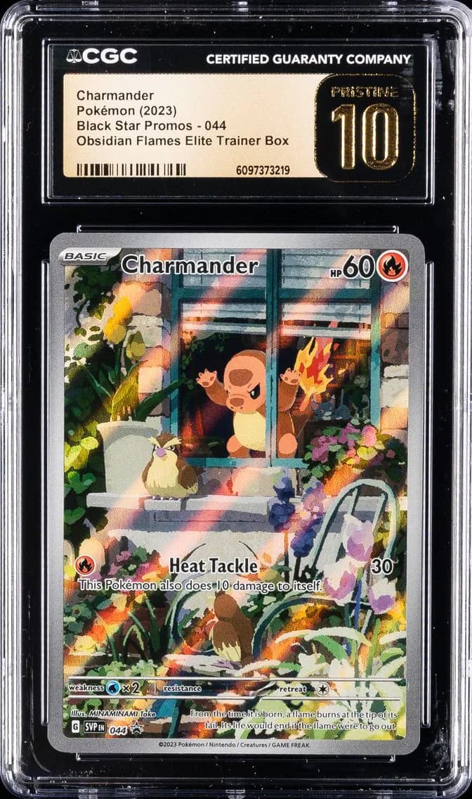 Charmander slab