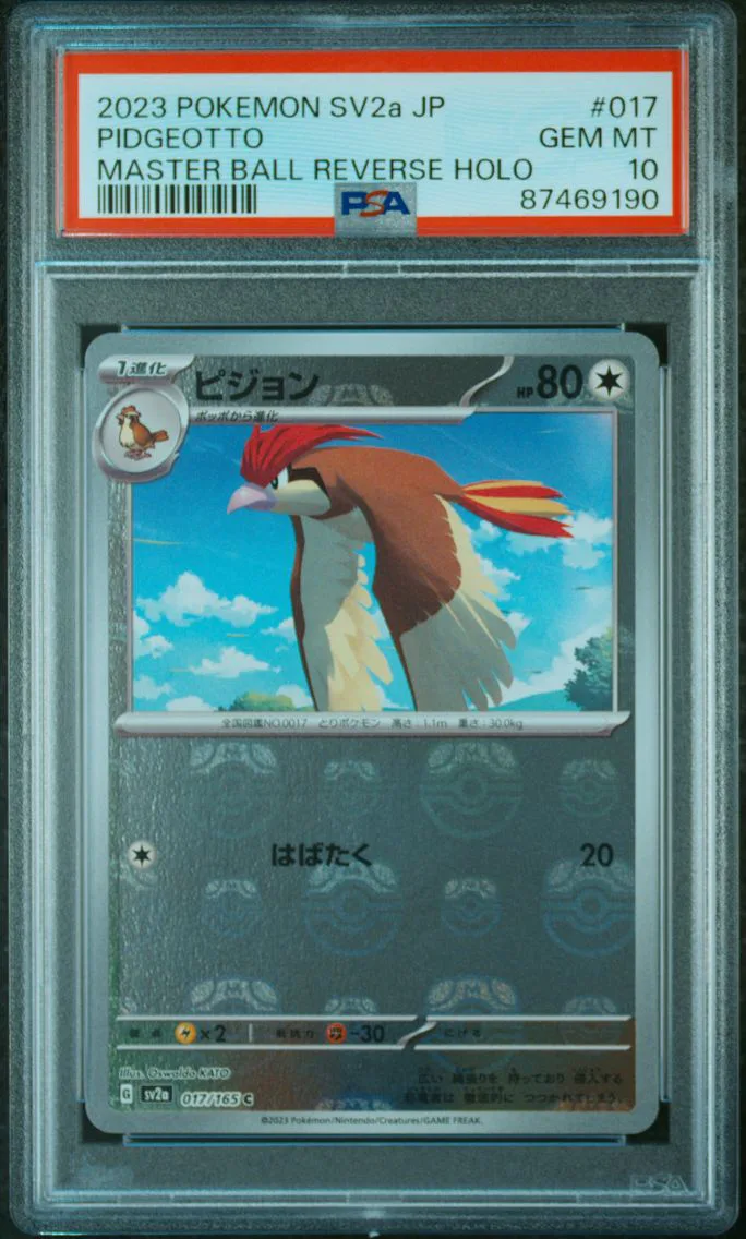 Pidgeotto slab