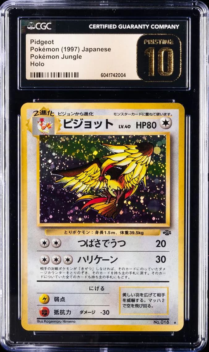 Pidgeot slab