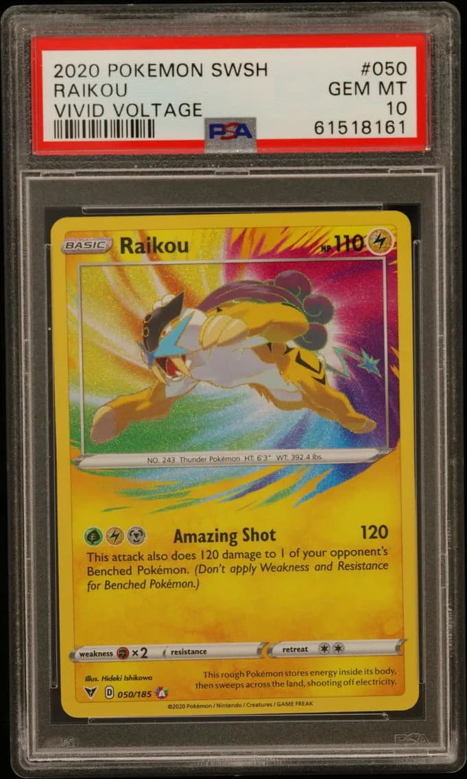Raikou slab