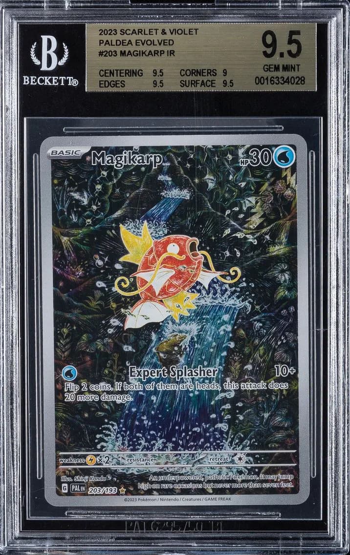 2023 #203 Magikarp BGS 9.5 Pal EN-Paldea Evolved Pokemon