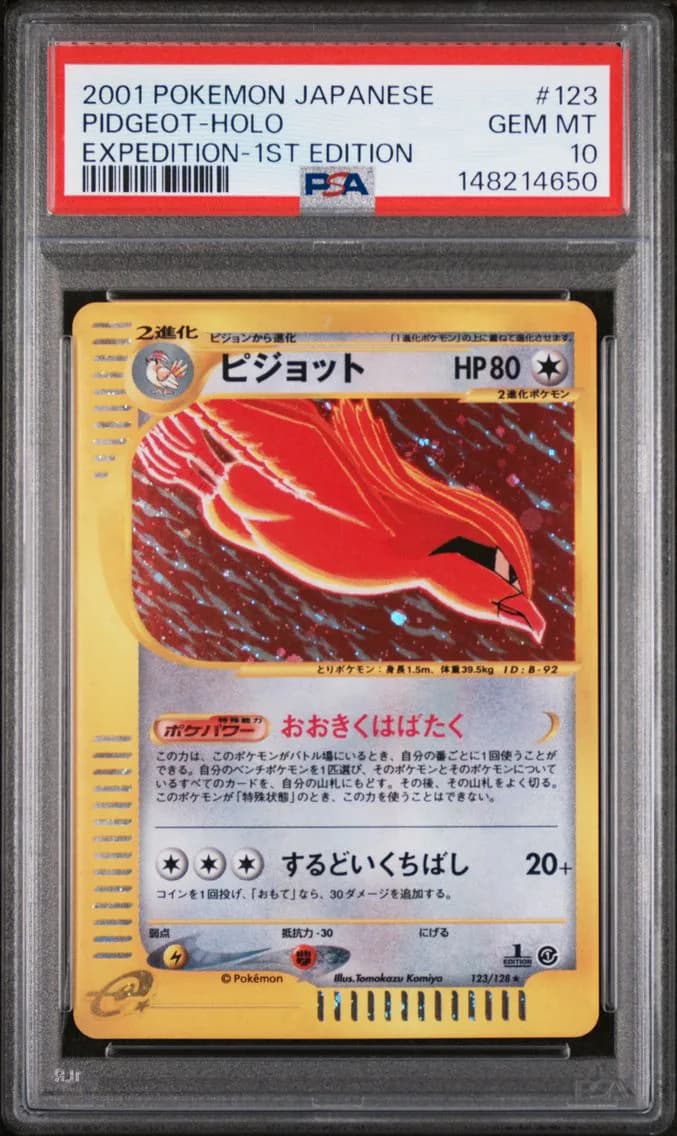 Pidgeot slab