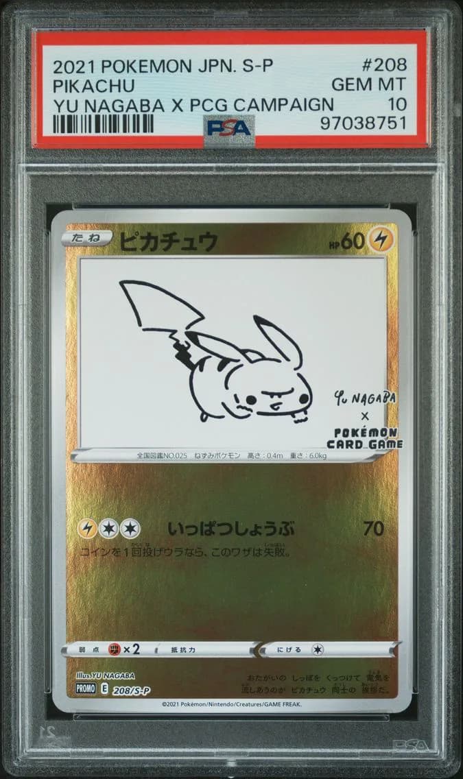 _____'s Pikachu slab