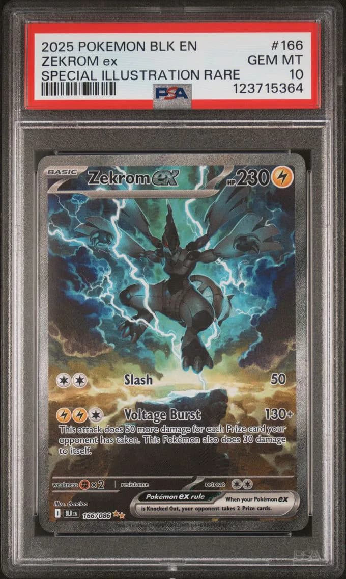 Zekrom ex slab