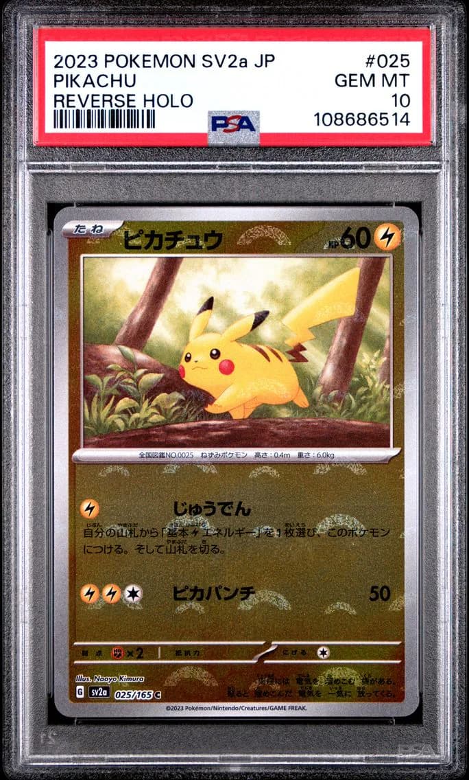 Pikachu slab