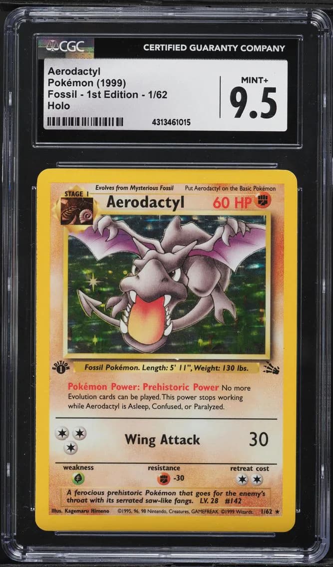 Aerodactyl slab