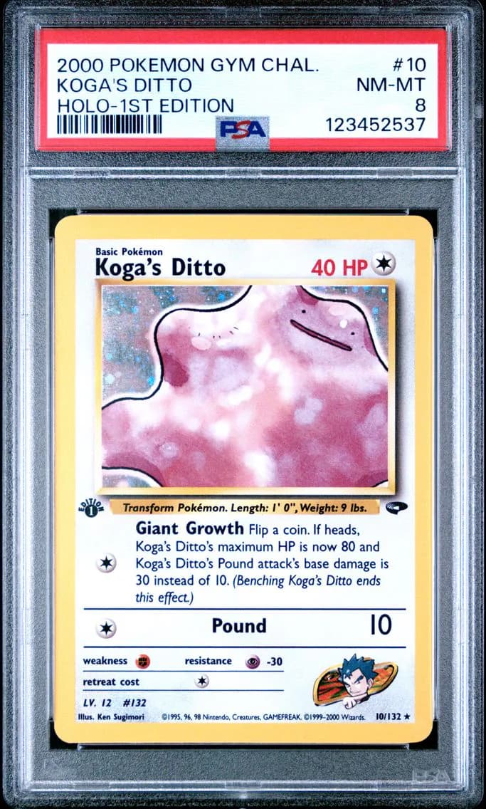 Koga's Ditto slab