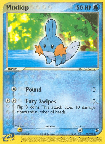 Mudkip printed card