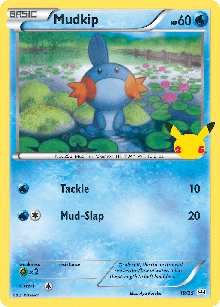 Mudkip printed card